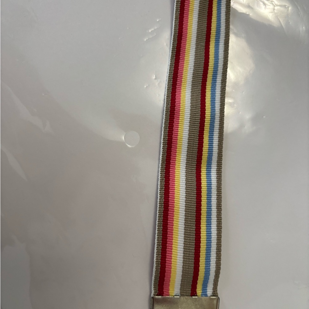 Striped Multicolor Men's Belt